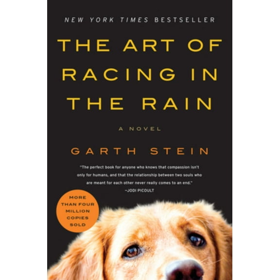 The Art of Racing in the Rain: A Novel (Paperback)