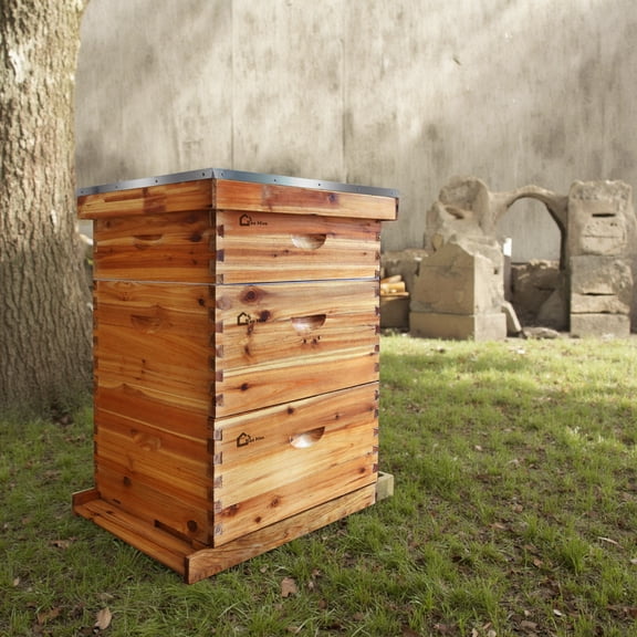 Garvee 10-Frame Langstroth Bee Hive Kit, Cedarwood Beehive with 2 Deep Boxes, 1 Medium Super, Bee Hive Boxes with Beehives Frames and Wax Foundations for Beekeepers