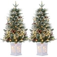 thumbnail image 1 of Garvee 2 Pack 3FT Mini Christmas Tree, Pre-Lit Artificial Tree with 78 Warm White Lights, Tabletop Christmas Tree with Pine Cones, Red Fruits, Fake Green Xmas Tree for Holiday Decor, Snowflake, 1 of 10