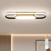 Garwarm 40W Modern Linear LED Ceiling Light, Dimmable 3000K-6500K Flush Mount Ceiling Light with Remote, Acrylic Ceiling Lamp, Light Fixture for Living Room, Dining Room, Kitchen