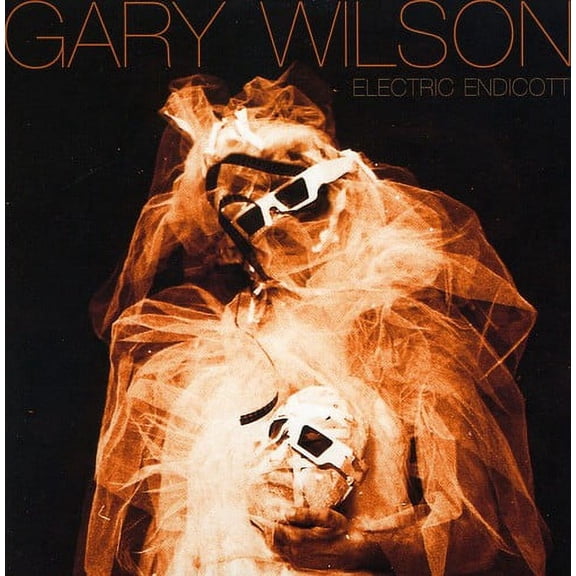 Gary Wilson - Electric Endicott - Music & Performance - CD
