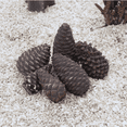 thumbnail image 1 of Gas Fireplace Logs, 6 pcs Pine Cones Fire Logs Christmas Decorative Ceramic Firewood in Assorted Sizes for Ventless Fireplaces, Fire Pit, 1 of 7