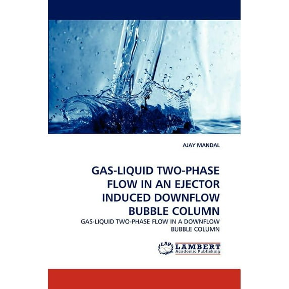Gas-Liquid Two-Phase Flow in an Ejector Induced Downflow Bubble Column (Paperback)