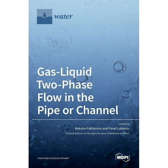 Gas-Liquid Two-Phase Flow in the Pipe or Channel, (Hardcover)