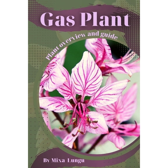 Gas Plant : Plant overview and guide (Paperback)