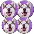thumbnail image 1 of Gas Stove Burner Cover,Electric Stove Top Protector,Easy to Clean,Husky with Blue Eyes on a Purple Background, 1 of 7