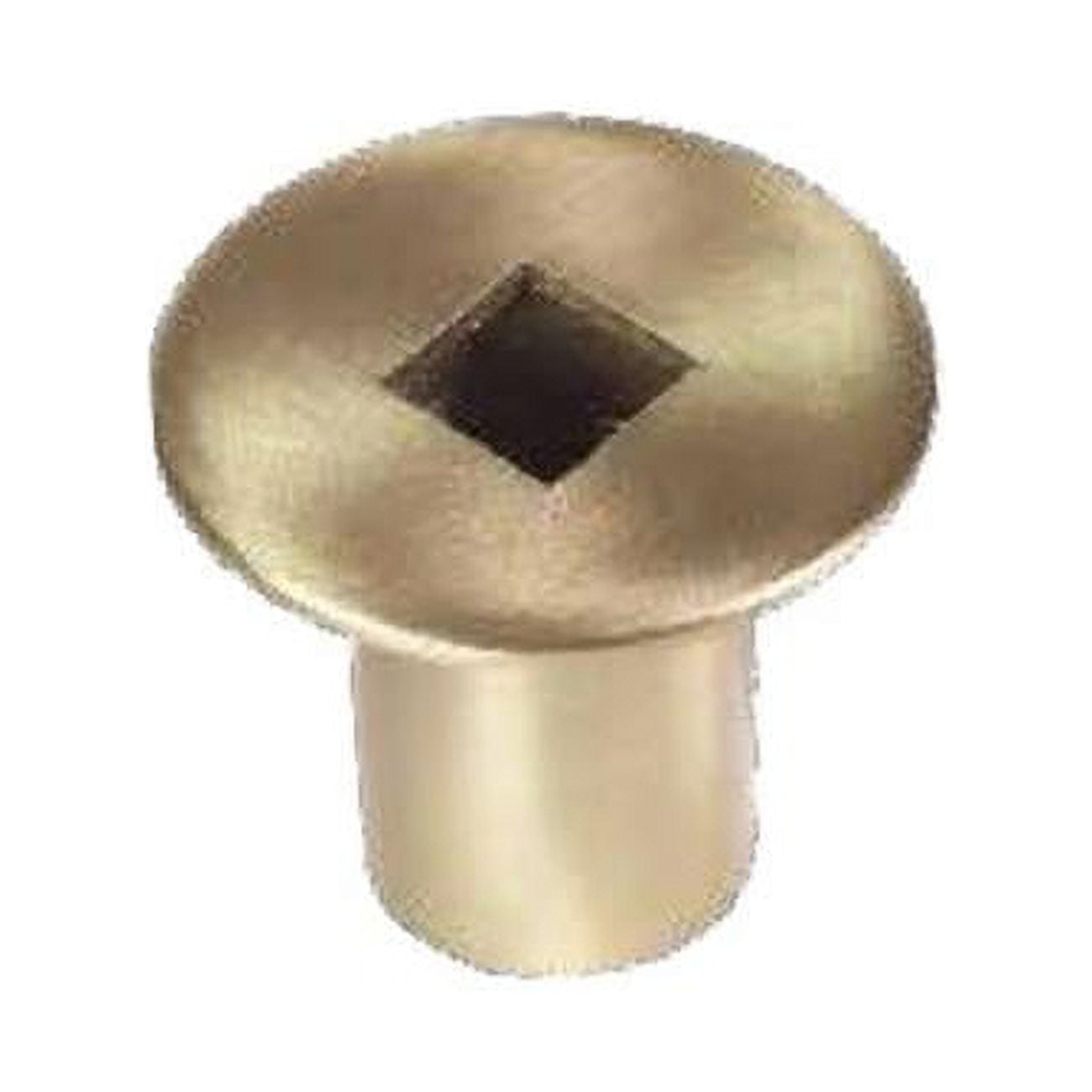 Gas Valve Cover, Antique Brass