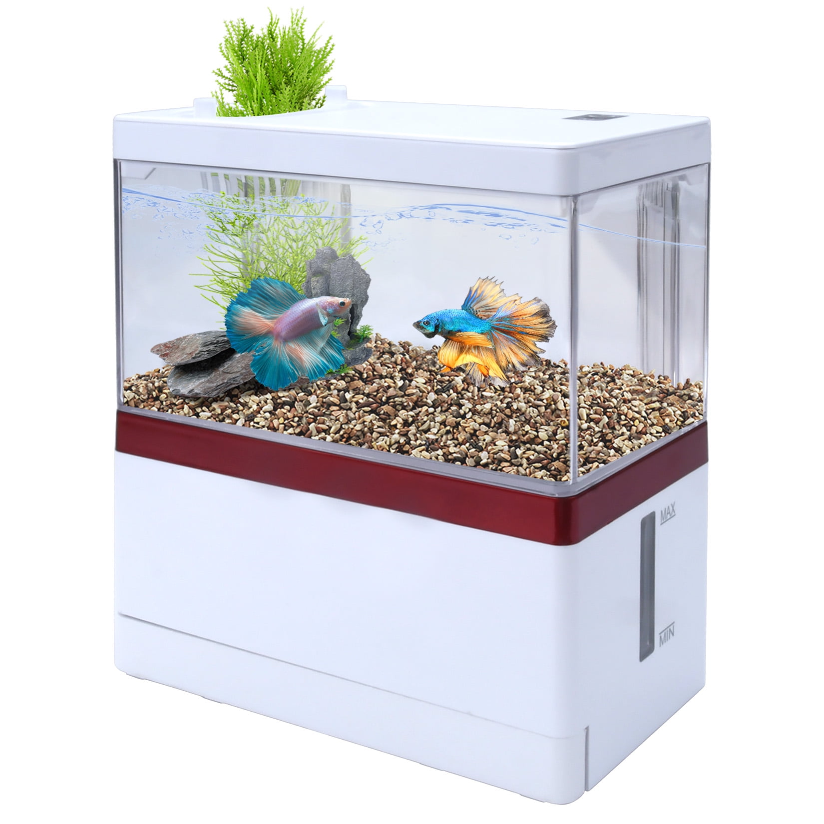 1 gallon fish tank top