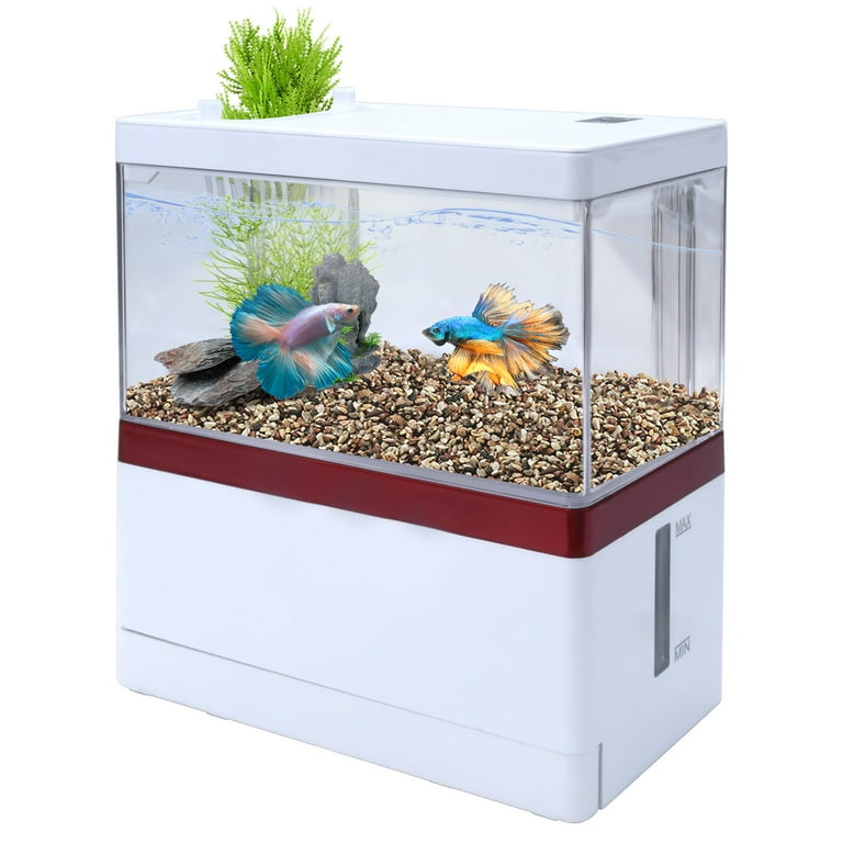 Goldfish in 1 gallon tank deals