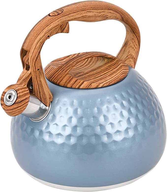 Typhoon Living Collection 2.5L Stove Top Kettle Blue