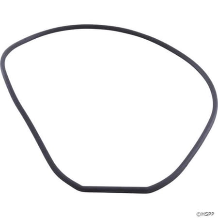 Gasket Faceplate for Waterway SVl56