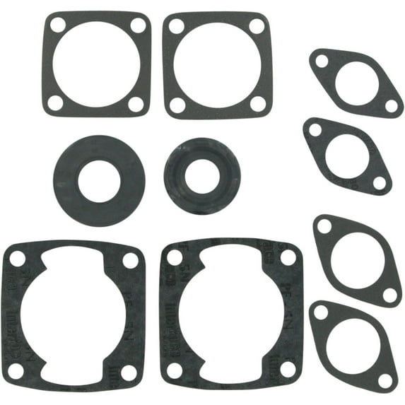 Gasket Kit With Oil Seals Compatible with/Replacement for Arctic Cat JAG 3000 FA/2 1976-1980 340cc