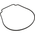 thumbnail image 1 of Gasket, Waterco HydroStar, Seal Plate, 1 of 2