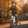 thumbnail image 1 of GASKY 14" Kids Bike for Boys Girls Child Bicycle with Removable Training Wheels Mint Grey, 1 of 7