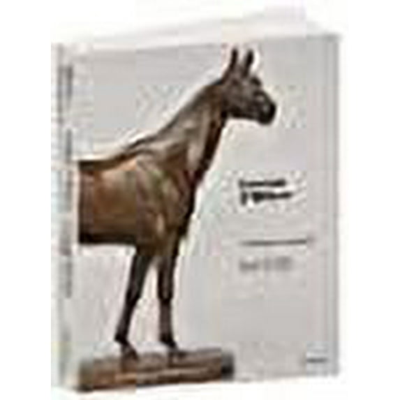 Gaston d'Illiers - Catalogue Raisonnee