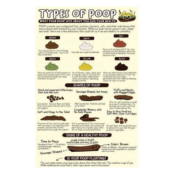 Gastroenterology Reference Poster Bristol Stool Form Scale Laminated Chart for Medical Training and Clinic Office Decor
