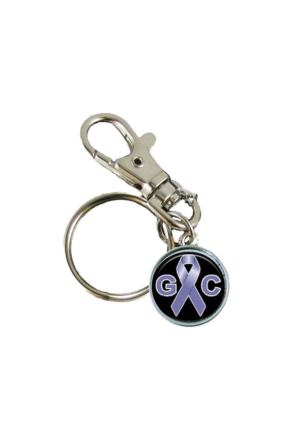Gastrointestinal Cancer Awareness Keychain Support Silver Plated Jewelry Key Chain