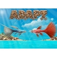 Gate Keeper Games and Dice: A.D.A.P.T. - Dice Rolling Board & Card Game ...