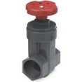 thumbnail image 1 of Gate Valve 2ips Sxs Pvc, 1 of 2