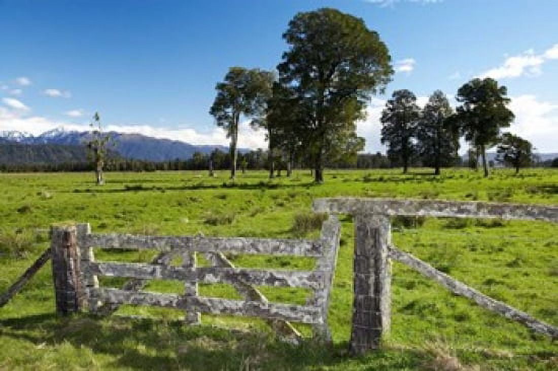 Gate and Farmland near Fox Glacier West Coast South Island New Zealand Canvas Art - David Wall DanitaDelimont (34 x 23)