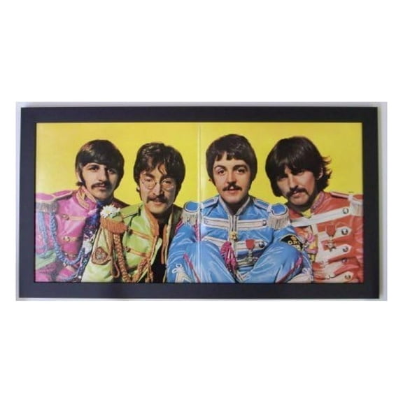 Gatefold Record Album Frame - Black Wood Display for LP Vinyl - UV Glass, 14.5"x27" - Autographed Album Art, Collectible Cover Protection