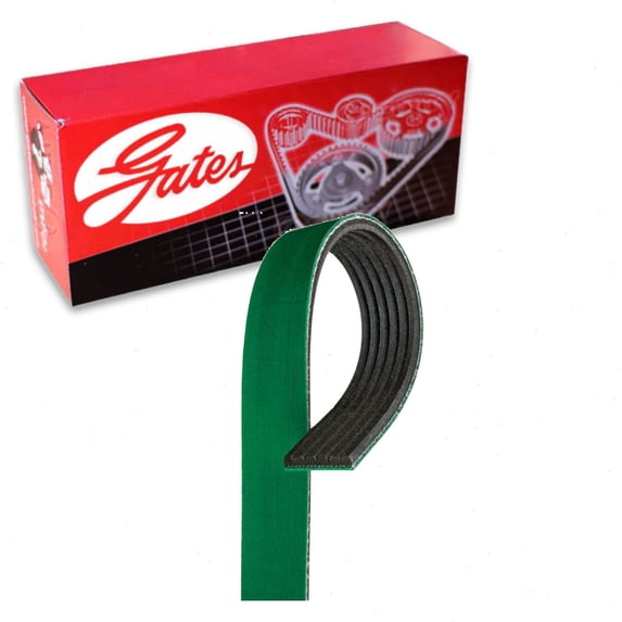 Gates AC FleetRunner Micro-V Serpentine Belt compatible with Ford F-350 Super Duty 6.4L V8 2008-2010