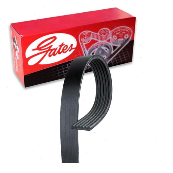 Gates Accessory Drive Micro-V Serpentine Belt compatible with Dodge Charger 6.2L V8 2015-2018