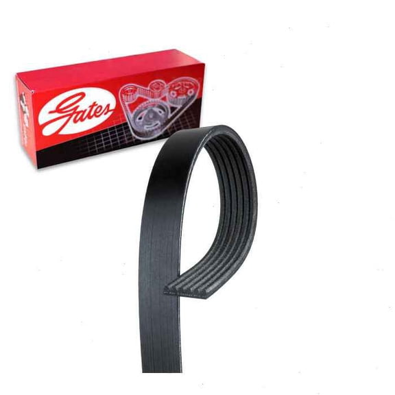 Gates Alternator AC Micro-V Serpentine Belt compatible with Honda Odyssey 3.5L V6 1999-2001