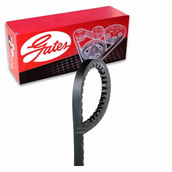 Gates Fan Power Steering XL Accessory Drive Belt compatible with Oldsmobile Omega 4.3L 5.7L V8 1973-1977