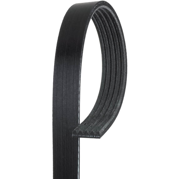 Gates K050365 Micro-V Serpentine Drive Belt Fits select: 1986-1989 HONDA ACCORD, 1995-1996 ACURA 2.5TL