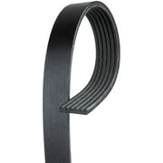 Gates K060435 Serpentine Belt Fits select: 1998-2002 HONDA ACCORD, 2021-2022 MERCEDES-BENZ GLC