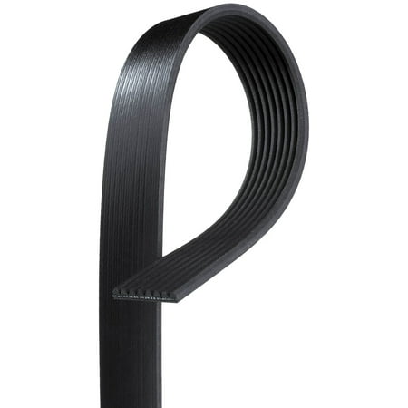 Serpentine Belt
