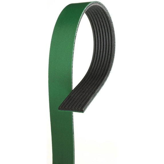 Serpentine Belt