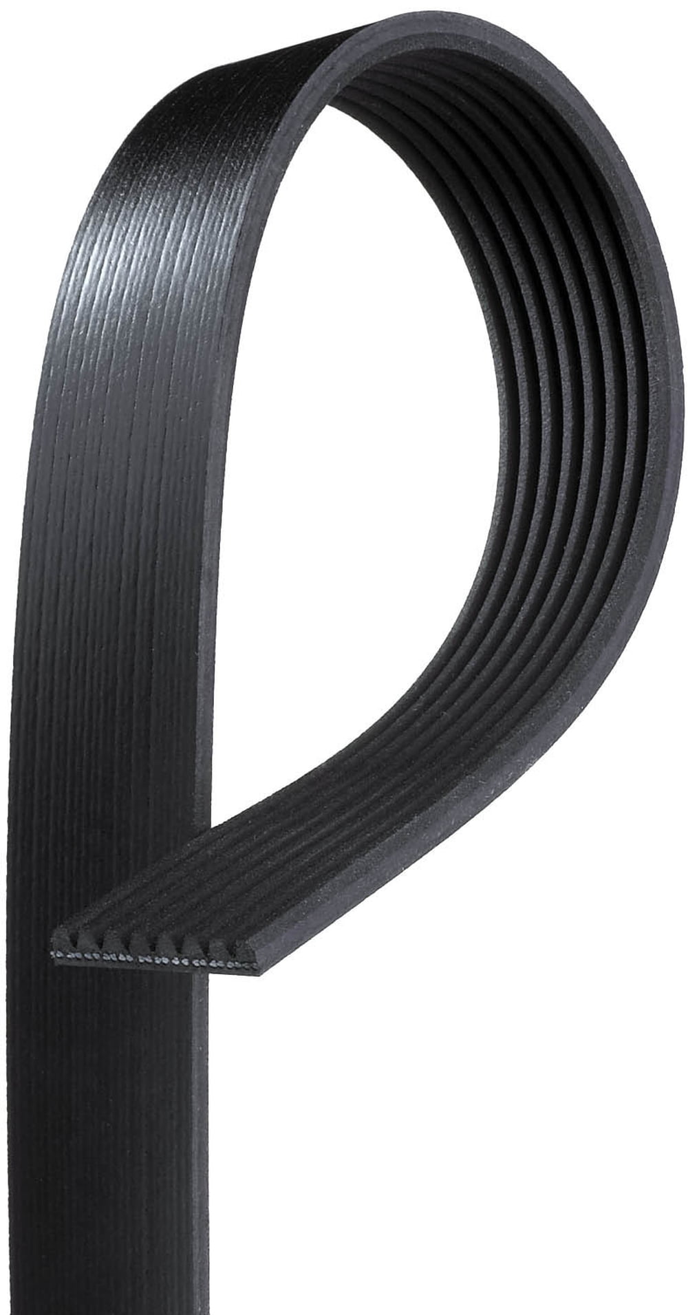 Gates K081092 Serpentine Belt