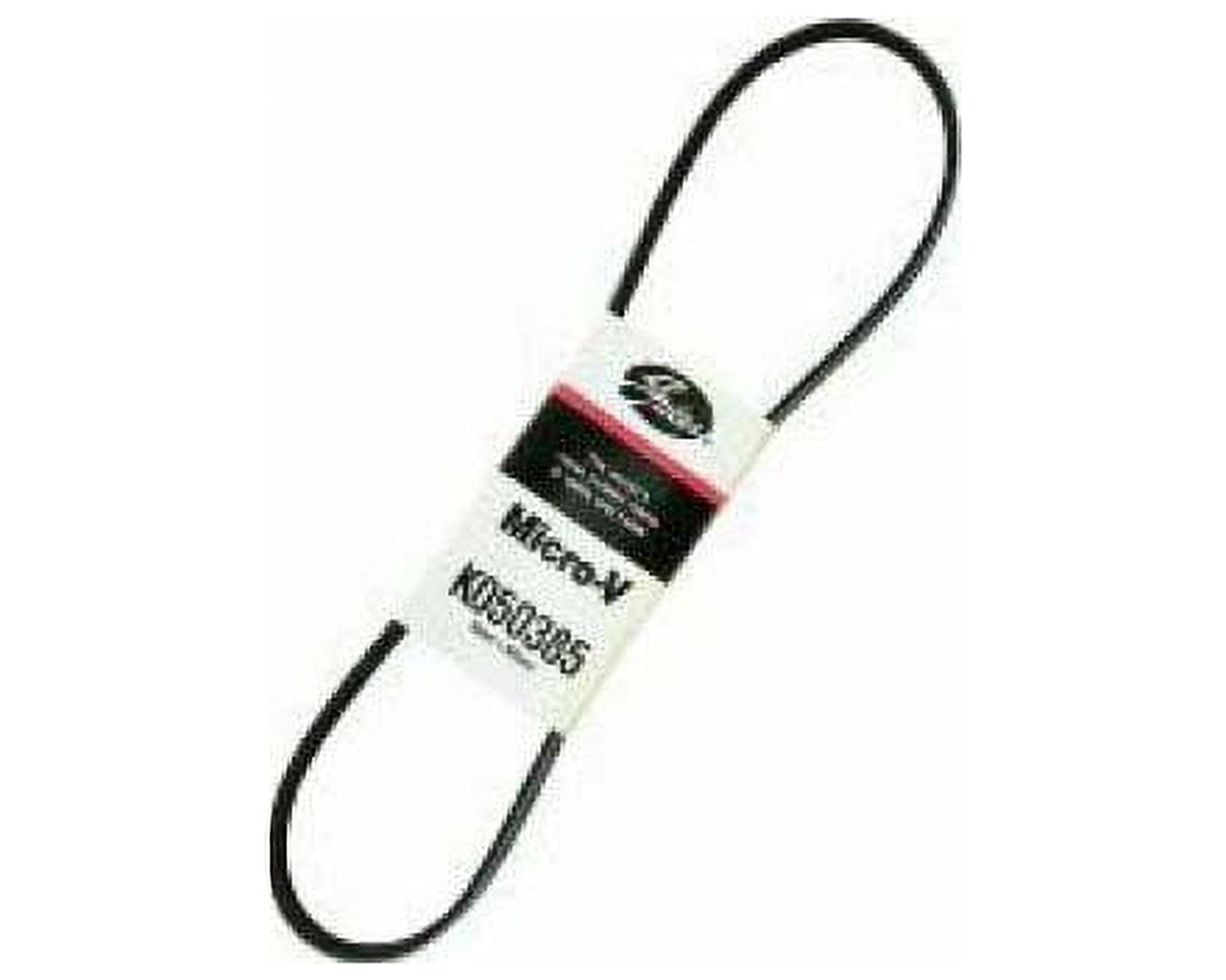 Serpentine Belt