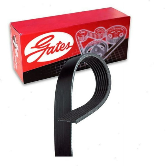 Gates Micro-V Serpentine Belt compatible with BMW X5 4.4L V8 2010-2019