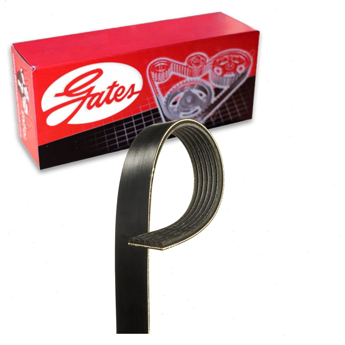 Gates Micro-V Serpentine Belt compatible with Chevrolet Colorado 2.8L 2.9L 3.5L 3.7L L4 L5 2004-2012