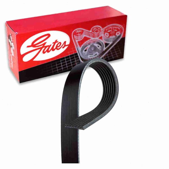 Gates Micro-V Serpentine Belt compatible with Dodge Durango 3.9L 5.2L 5.9L V6 V8 1998-2003