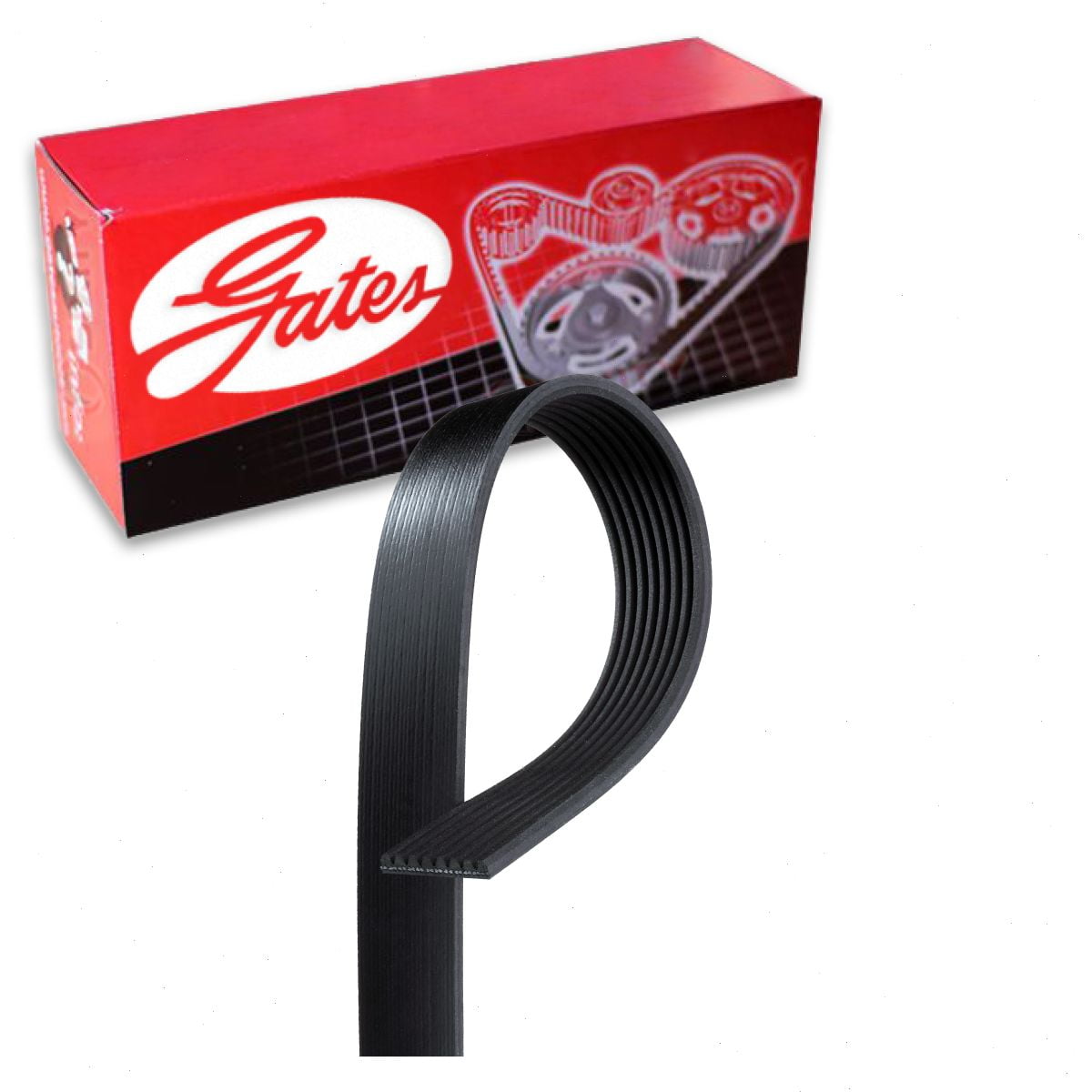 EPDM Serpentine Belt 8PK3210 For Dodge Ram 2500 3500 Ford F250 - Foto 11