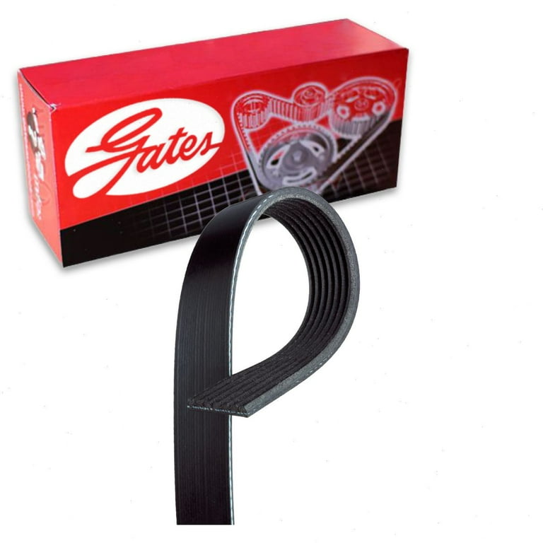 Gates Micro V Serpentine Belt compatible with Honda CR V 2.4L L4 2002 2006 Walmart