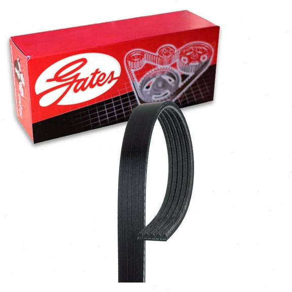 Gates Micro-V Serpentine Belt compatible with Honda Fit 1.5L L4 2007-2013