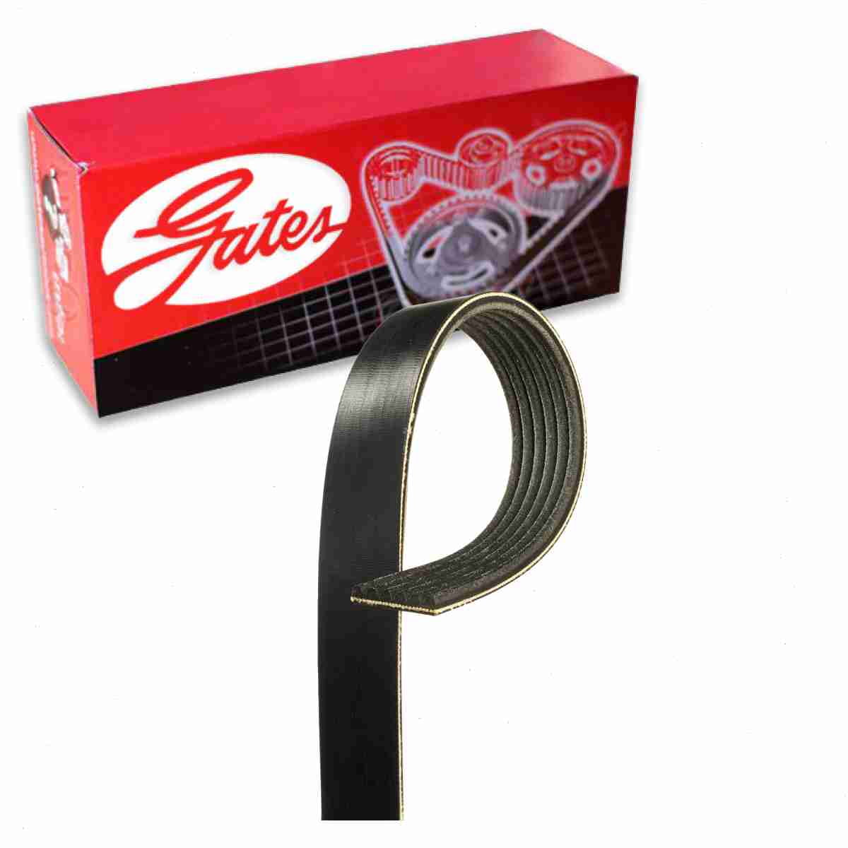 Plymouth Prowler Accessory Drive Belt