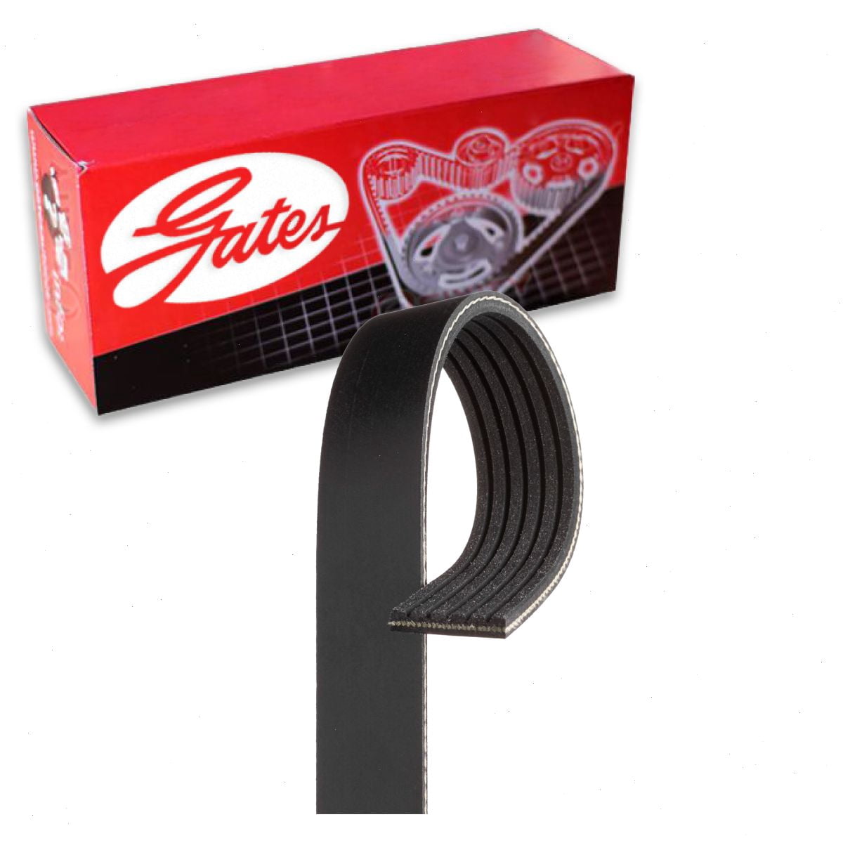 Gates Micro-V Serpentine Belt compatible with Jeep Grand Cherokee 3.6L V6 2016-2020