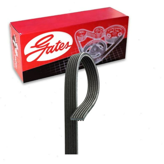 Gates Micro-V Serpentine Belt compatible with Land Rover Range Rover Evoque 2.0L L4 2012-2017