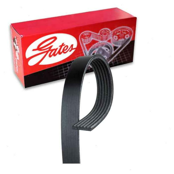Gates Micro-V Serpentine Belt compatible with Land Rover Range Rover Velar 2.0L L4 2018-2019