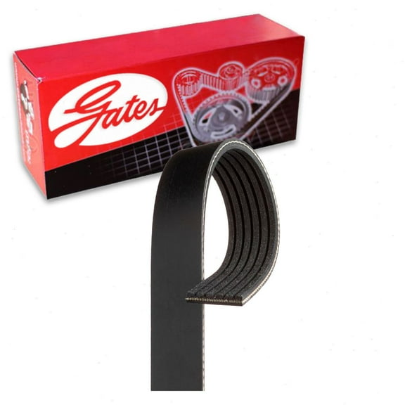 Gates Micro-V Serpentine Belt compatible with Nissan Sentra 1.8L L4 2013-2019