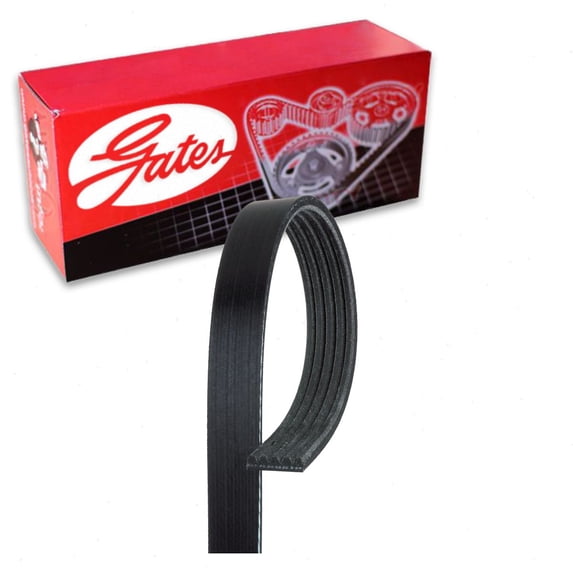 Gates Power Steering Micro-V Serpentine Belt compatible with Hyundai Santa Fe 3.5L V6 2003-2006