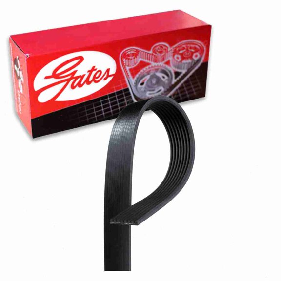 Gates Supercharger Micro-V Serpentine Belt compatible with Mercedes-Benz SL55 AMG 5.4L 5.5L V8 2003-2008