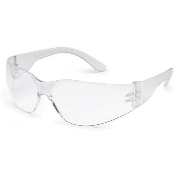 Gateway Safety 46X9 Starlite Safety Glasses Clear Anti-Fog Lens