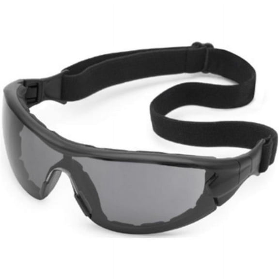 Gateway Safety 280310152 Black & Gray Fx3 Anti-Fog Swap Safety Glasses & Goggle with Foam